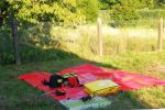 img_20190722_192551