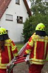 frohnhofen4