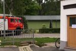 frohnhofen1