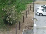 GHBau_2018-04-26_03