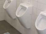 dscf5512