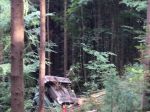 IMG_5082forst