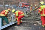 10 - 2019-03-10 Baum 7Wege