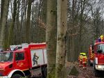 2013-01.04-holzlager-1