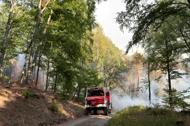 26-107 - Brand Wald Waldaschaff