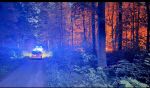 Weiterlesen: Fernwald on Fire 2025