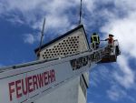 Weiterlesen: „Tierrettung“