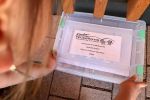 Weiterlesen: Kinderfeuerwehr-Schatzsuche