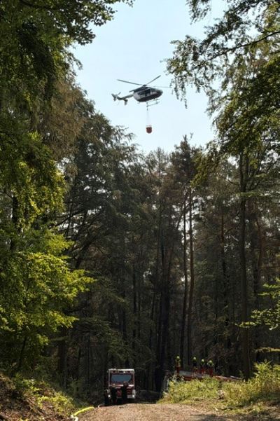26 08 15 b wald 12