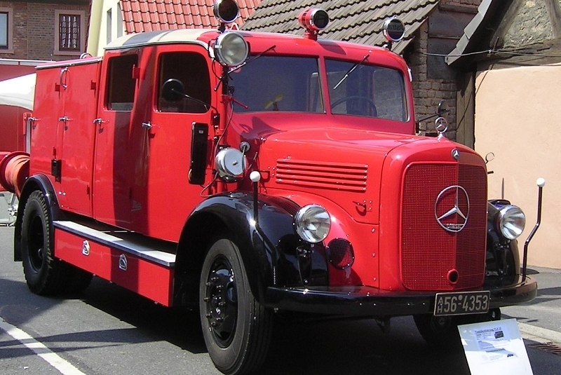 TLF 15